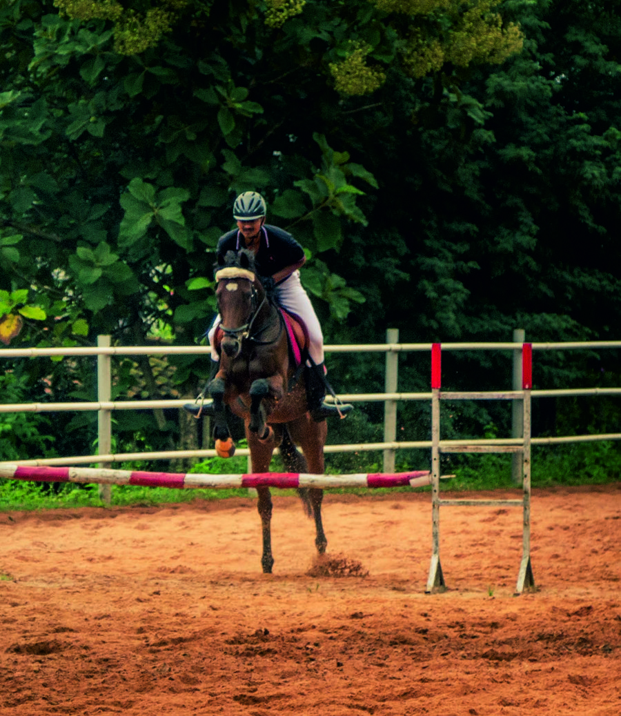 Equestrian Centre & Horse Riding